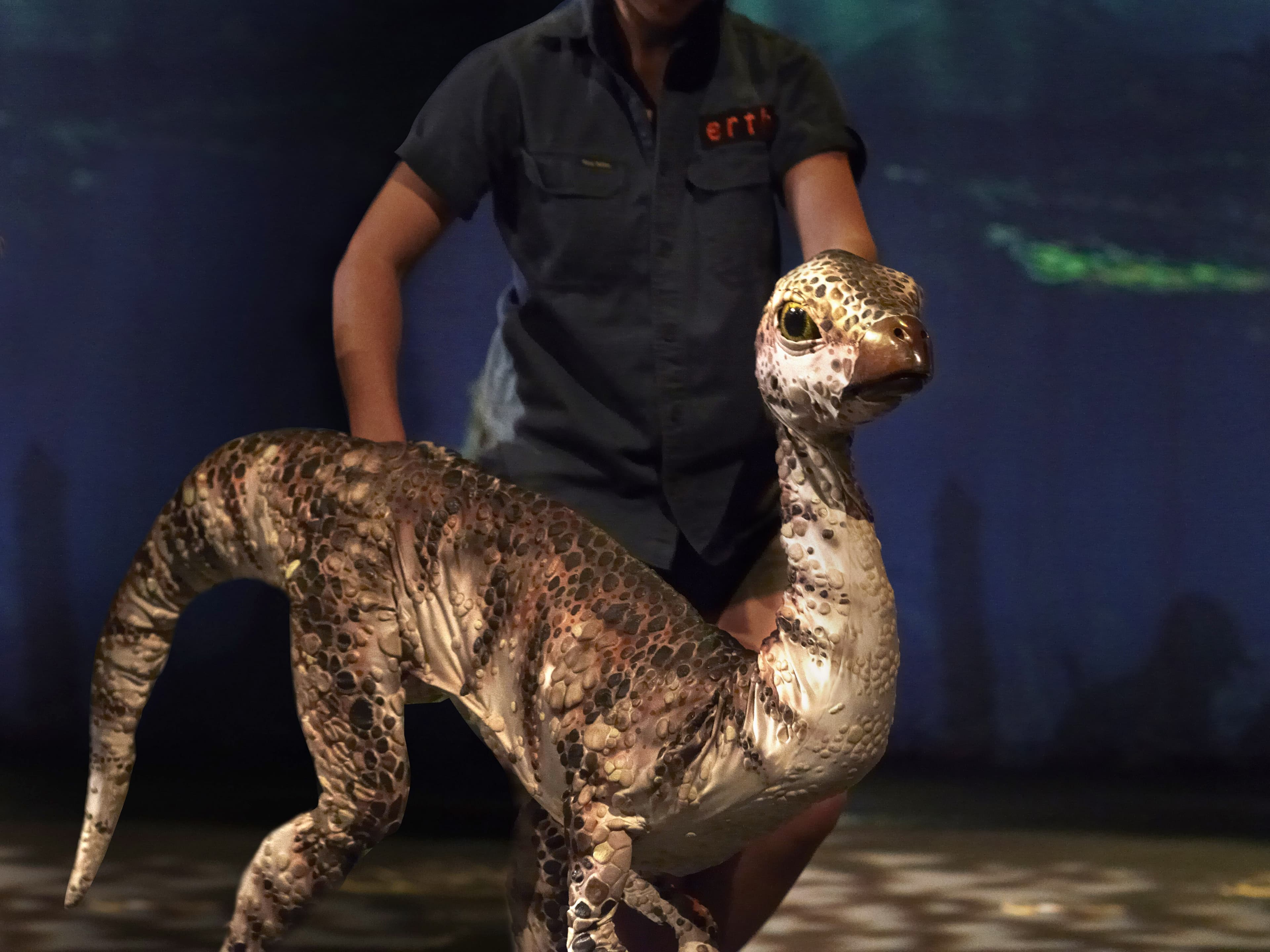 Dinosaur Petting Zoo, ERTH, Carriageworks