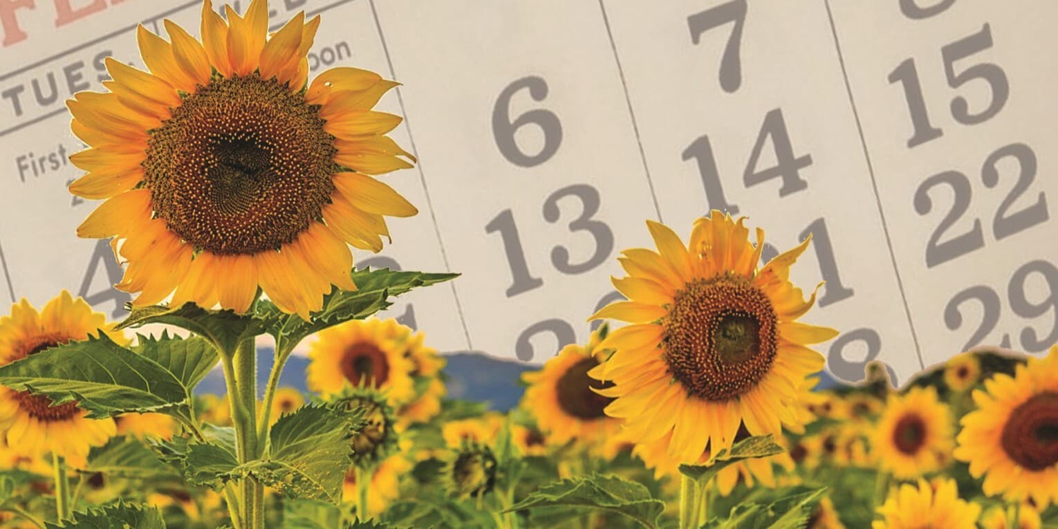 Calendar Girls - Geelong Repertory Theatre Company